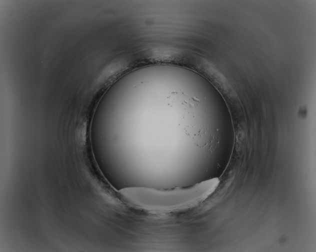 X0000102350454200808081158