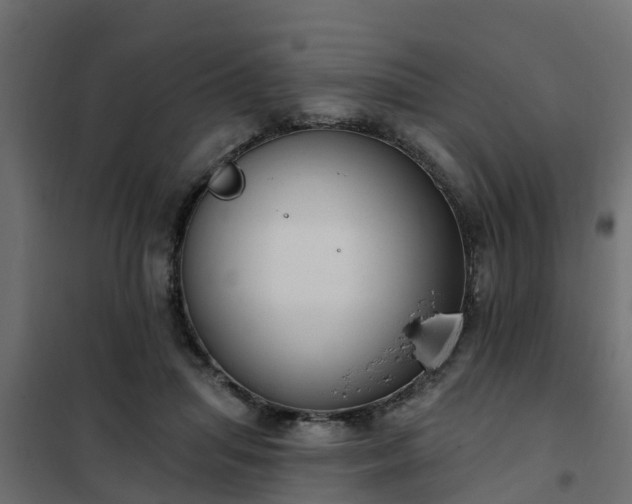 X0000102350455200808081158