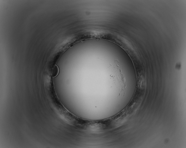 X0000102350456200808081158