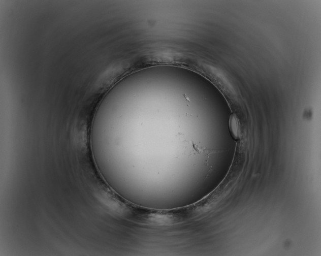 X0000102350457200808081158