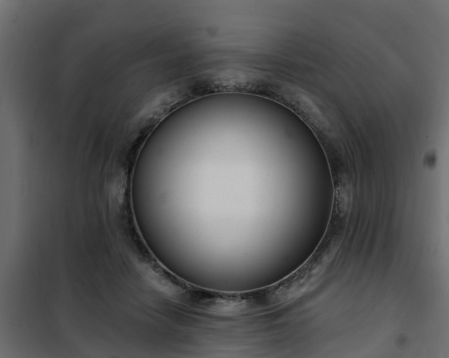 X0000102350458200808081158