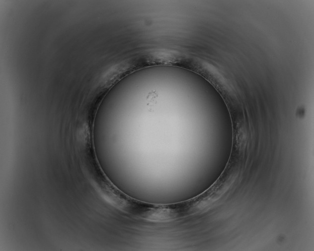 X0000102350459200808081158