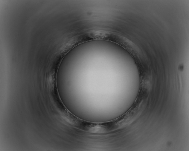 X0000102350460200808081158