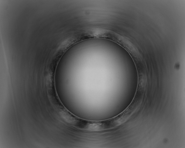 X0000102350461200808081158