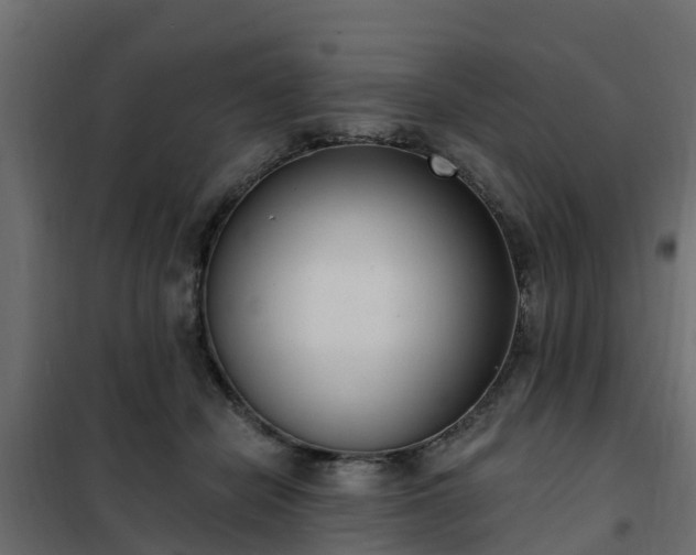 X0000102350462200808081158