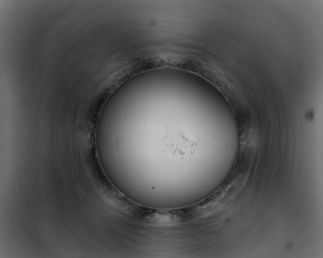 X0000102350464200808081158