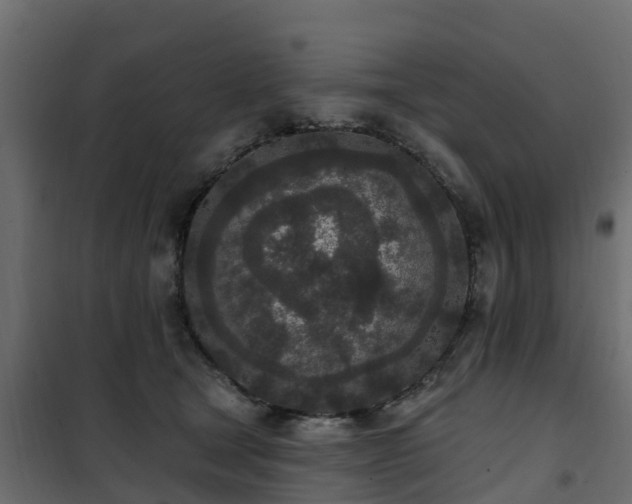 X0000102350465200808081158