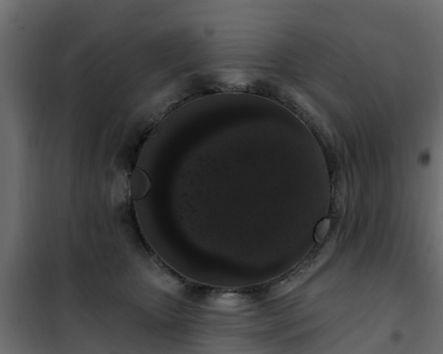 X0000102350467200808081158