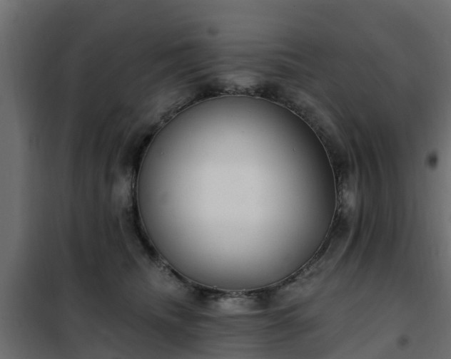 X0000102350468200808081158