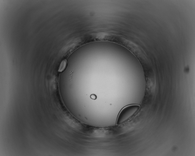 X0000102350470200808081158