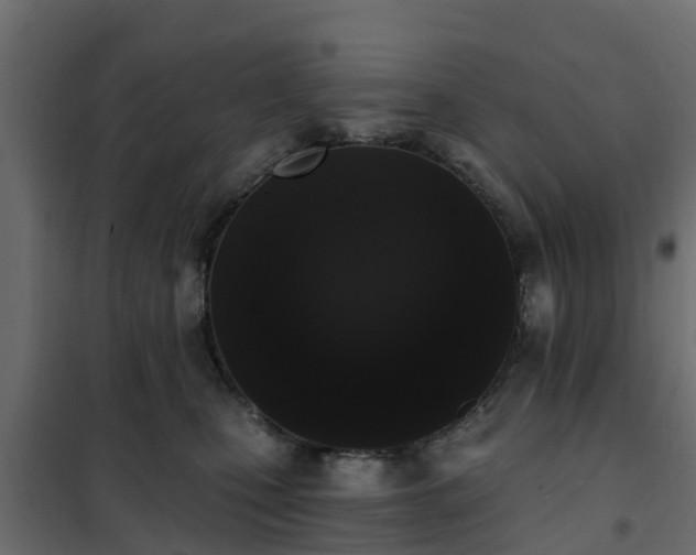 X0000102350471200808081158