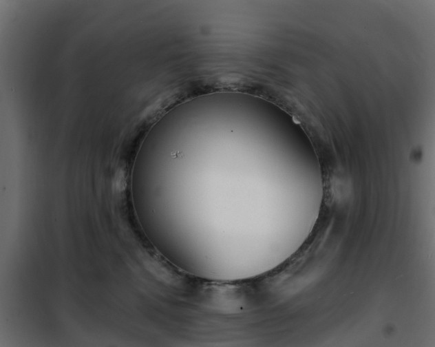 X0000102350472200808081158