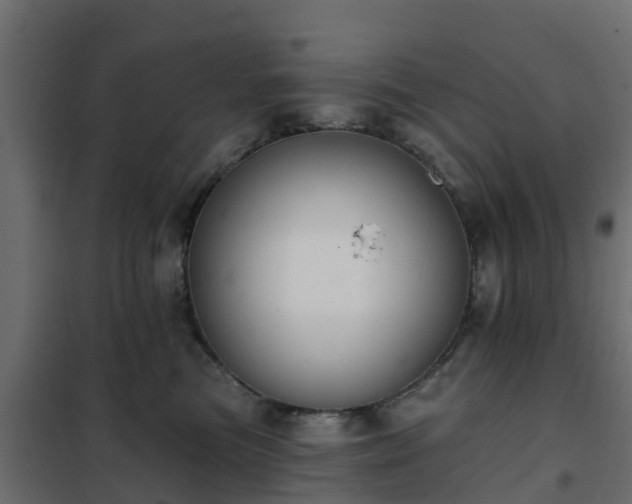 X0000102350473200808081158