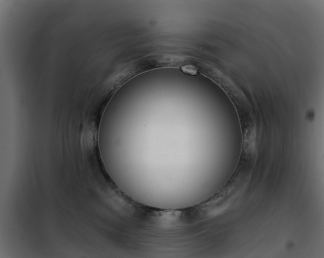 X0000102350474200808081158