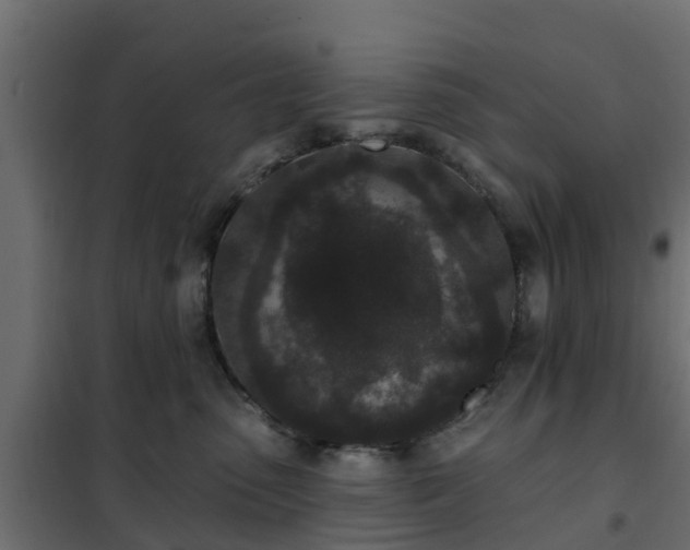 X0000102350475200808081158