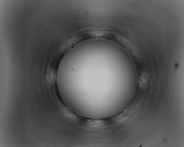 X0000102350476200808081158