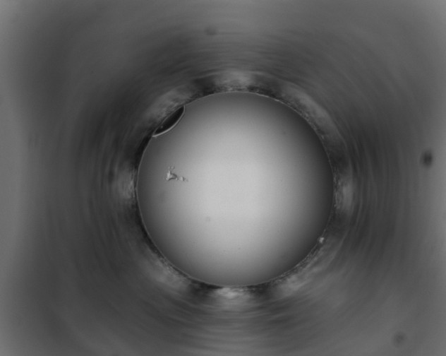 X0000102350477200808081158