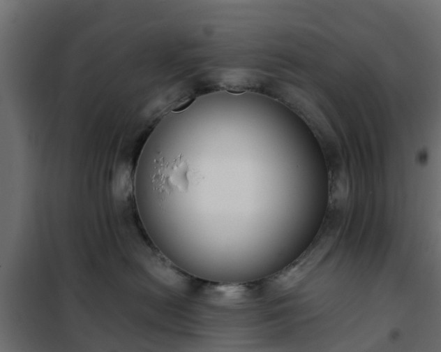 X0000102350478200808081158