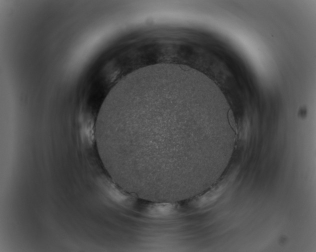 X0000102350479200808081158