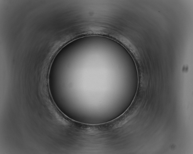 X0000102350481200808081158