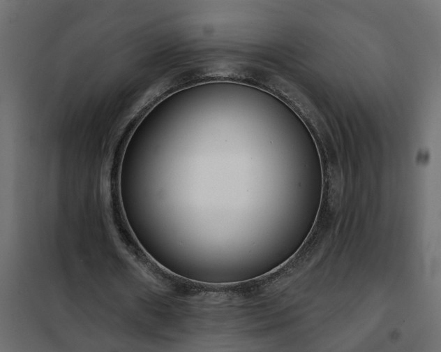 X0000102350482200808081158