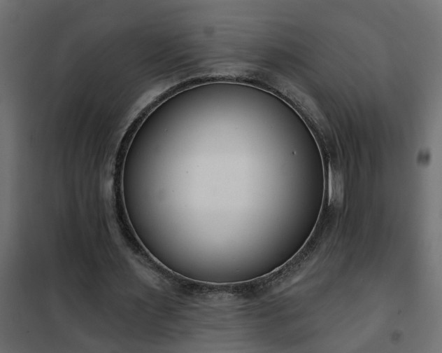 X0000102350483200808081158