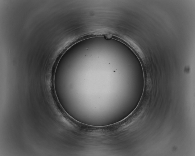 X0000102350485200808081158