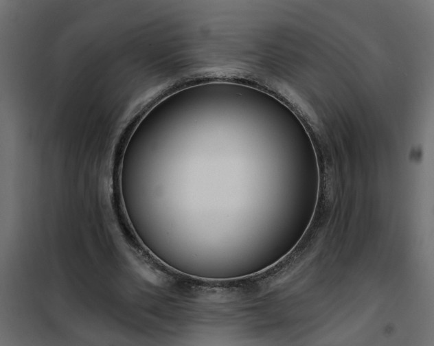 X0000102350486200808081158