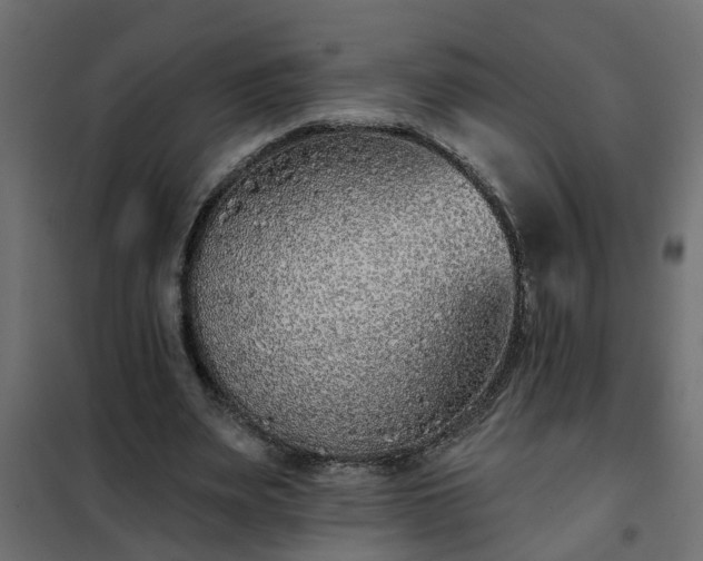 X0000102350487200808081158