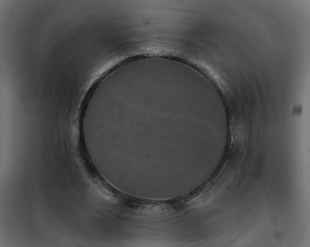 X0000102350488200808081158