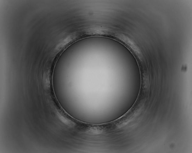 X0000102350489200808081158