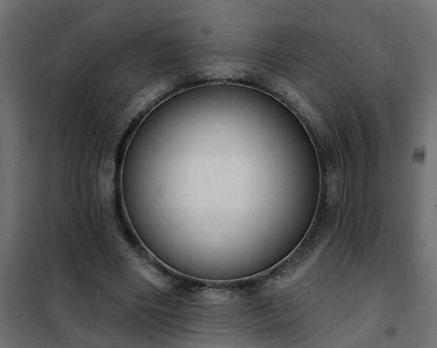 X0000102350490200808081158