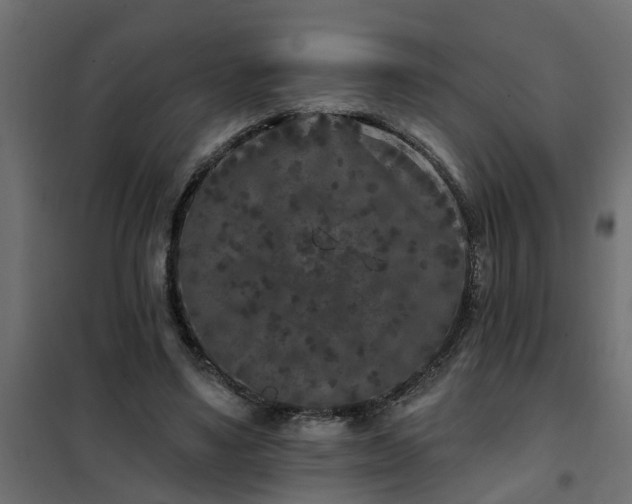 X0000102350491200808081158