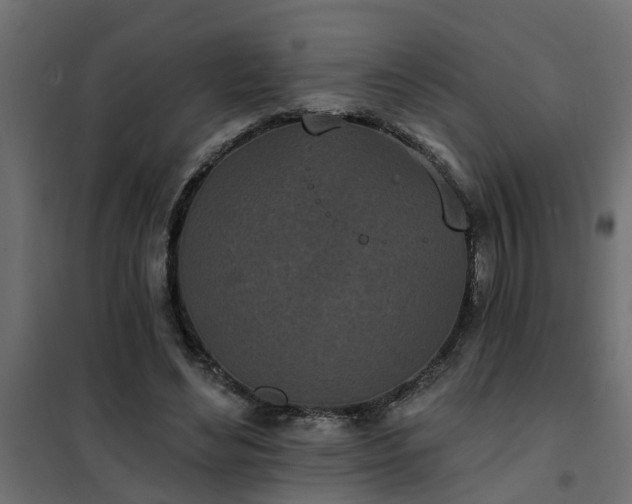 X0000102350492200808081158