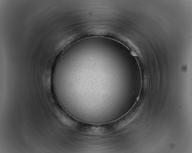 X0000102350493200808081158