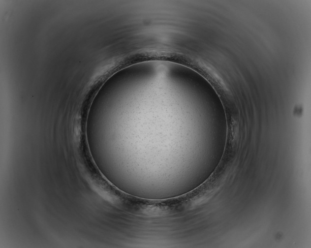 X0000102350494200808081158