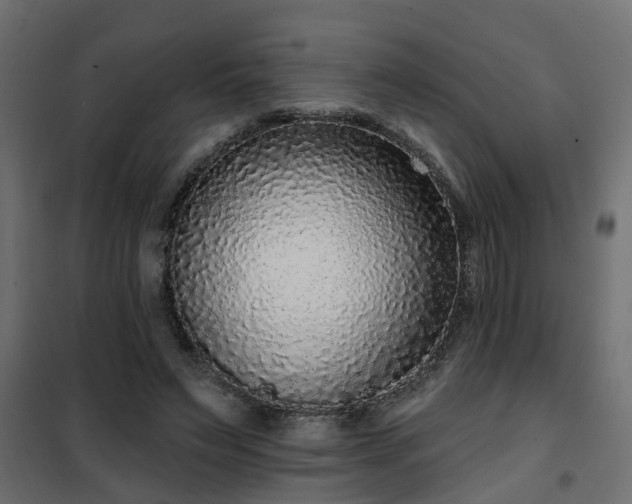 X0000102350495200808081157