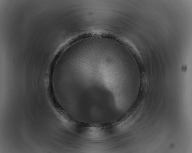 X0000102350496200808081157