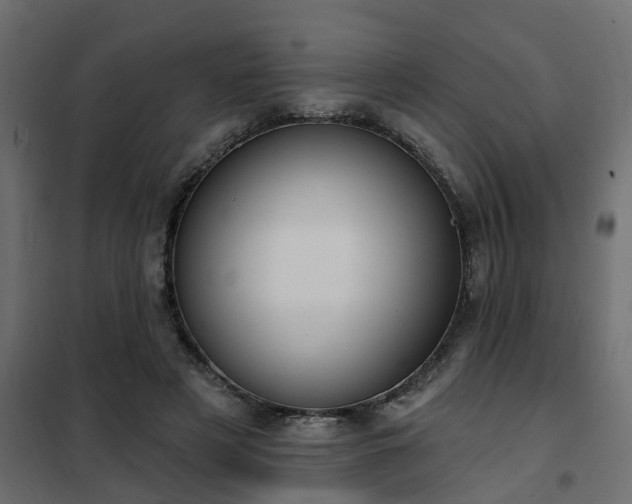 X0000102350497200808081157