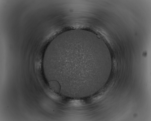 X0000102350499200808081157