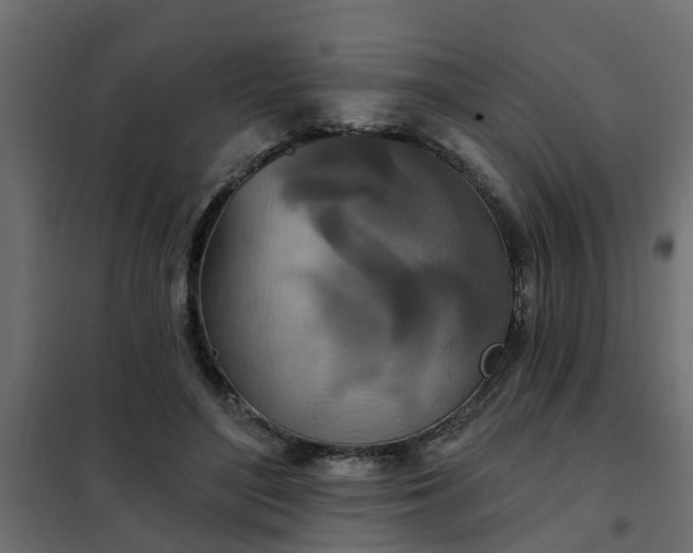 X0000102350500200808081157