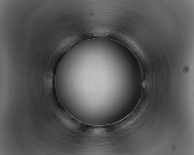 X0000102350501200808081157