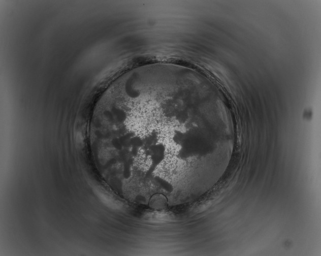 X0000102350503200808081157