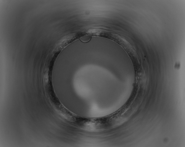 X0000102350504200808081157