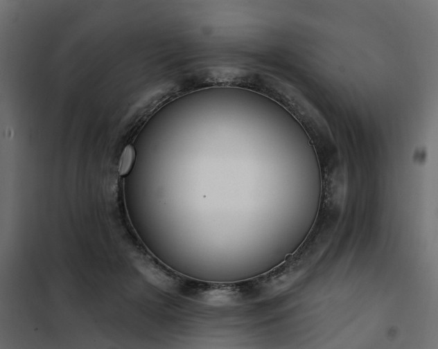 X0000102350505200808081157