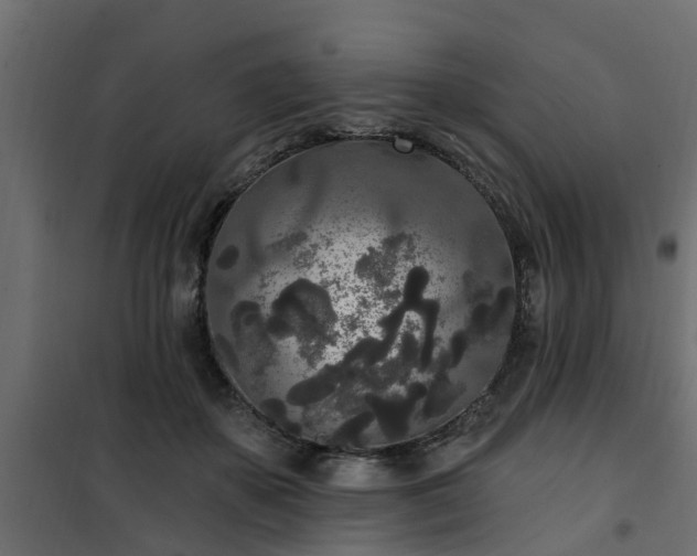 X0000102350507200808081157