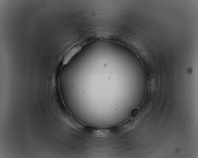 X0000102350508200808081157