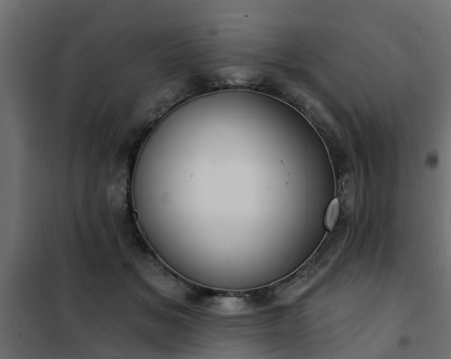 X0000102350509200808081157