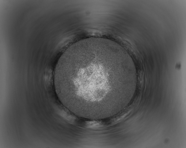 X0000102350511200808081157