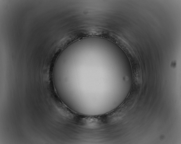 X0000102350512200808081157